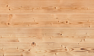 004 Siberian Larch